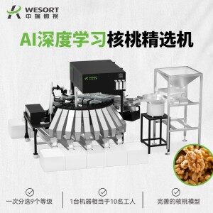 中瑞微视SSH4B10-AA核桃精选机