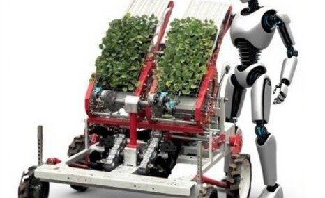 吉峰手扶式蔬菜自動移栽機(jī)
