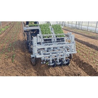 吉峰蔬菜自動移栽機器人