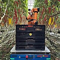 吉峰茄果采摘機器人