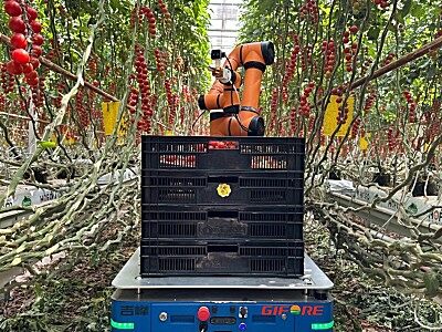 吉峰牌茄果采摘機器人
