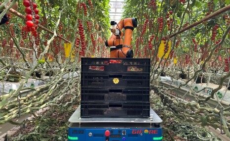 吉峰牌茄果采摘機器人