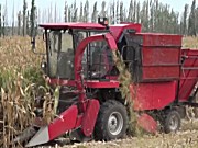 牧神4YZ-3玉米收获机作业视频