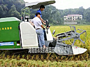 湖南农友2.0收割机作业视频