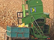 天拖4YZ-4X自走式玉米联合收获机田间作业视频