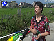 福建莆田电视台－深圳高科新农技术有限公司