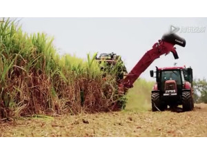 凯斯8000型甘蔗收割机作业视频