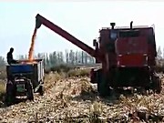 新疆牧神4YZT-7自走式玉米籽粒机收获机作业视频