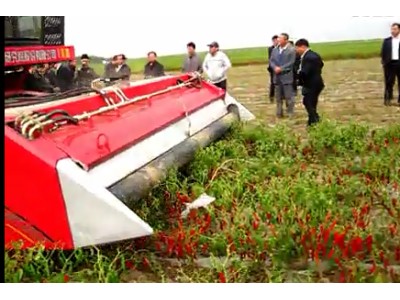新疆牧神4JZ-3600自走式辣椒收獲機作業視頻