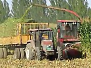 新疆牧神9QSZ-3000玉米青(黄)贮收获机作业视频