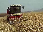 勇猛玉米收割机收倒伏能力作业视频