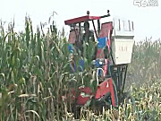 沃德4Y-4背负式玉米收获机作业视频