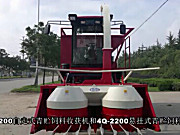 隆硕4QZ-2200自走式青贮饲料收获机作业视频