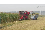 新疆牧神4YZB-7玉米收获机作业视频