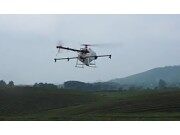 天鹰植保无人机在贵州湄潭万亩茶园叶面肥喷施作业视频