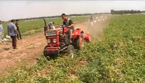 濰坊大眾機械殺秧機作業視頻