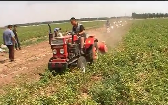 潍坊大众机械杀秧机作业视频