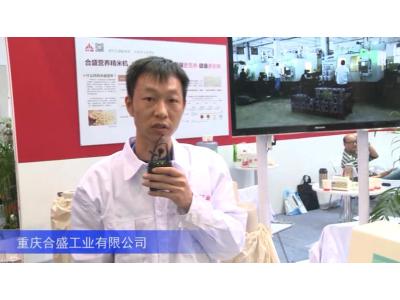 2016中国农机展—重庆合盛工业有限公司