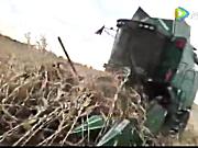 常发CF808玉米籽粒收割机收倒伏作业视频