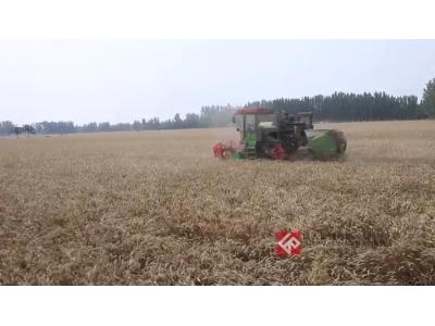 中收4LZ-6小麦机作业视频
