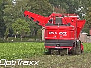 德国荷马(holmer)Exxact OptiTraxx履带式六行自走甜菜收获机作业视频