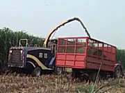 洛阳四达4QZ-10A自走式青贮饲料机作业视频