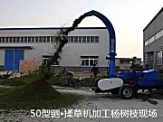 洛阳四达9Z-50青贮铡草机作业视频