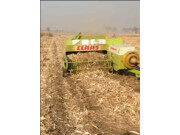 CLAAS MARKANT65方捆打捆机