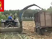 曲阜圣隆玉米秸秆粉碎回收机收获现场视频