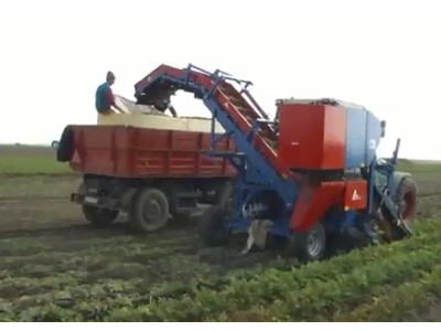 格立莫丹麦阿萨力CM1000 Romania单行背负式胡萝卜收获机作业视频