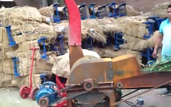 牧昌9R-600型秸秆揉丝机作业视频