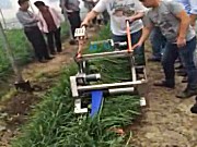 康博JT-HV韭菜收割机作业视频