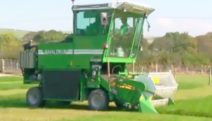 HALDRUP牧草收割机作业视频