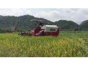 湖南龙舟农机股份有限公司-龙舟4LZ-4.0Z谷物联合收割机作业视频