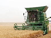 润源4YZ-8大型玉米小麦联合收割机作业视频