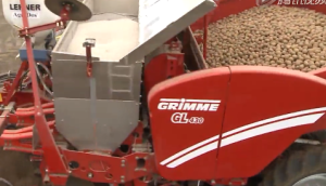 格立莫GL430四行牽引馬鈴薯播種機作業視頻