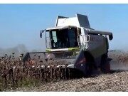 科乐收CLAAS LEXIDN560向日葵收割机作业视频