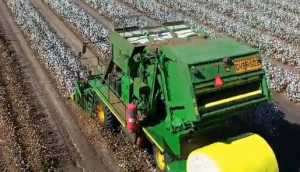 国外大型棉花收割机作业视频