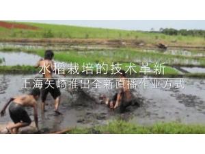上海矢崎水稻直播机SYG系列作业视频