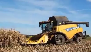 紐荷蘭CR980玉米收割機作業視頻