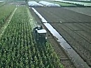九方泰禾迪马飞龙玉米机作业视频