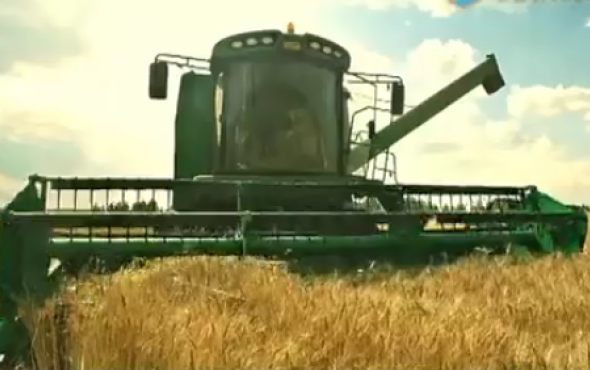 迪马DM800小麦收割机作业视频