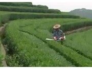 采茶機(jī)的正確使用與維護(hù)