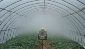 常溫煙霧機使用技術