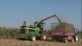 青贮玉米机械化收割技术