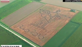 壮观！牛人用拖拉机画出巨幅基督雕像 向里约奥运致敬