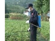 手动喷雾器的正确使用与维护