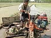 水稻插秧机使用与维护