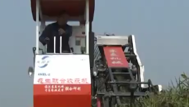 半喂入花生联合收获技术