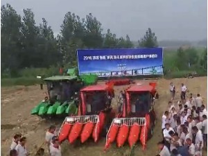 山东常林4YZP-3Y玉米收获机作业视频